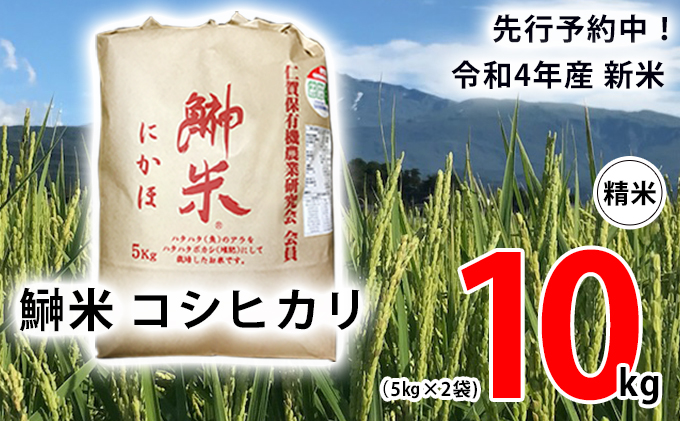 あいちのかおり 玄米10kg 5kg×2袋 JAあいち尾東 ×12か月 高速配送 5kg×2袋