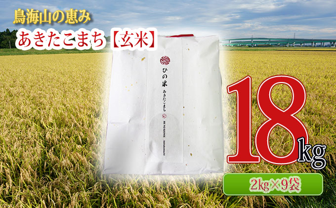 秋田県産 あきたこまち 玄米 18kg（2kg×9袋）神宿る里の米「ひの米