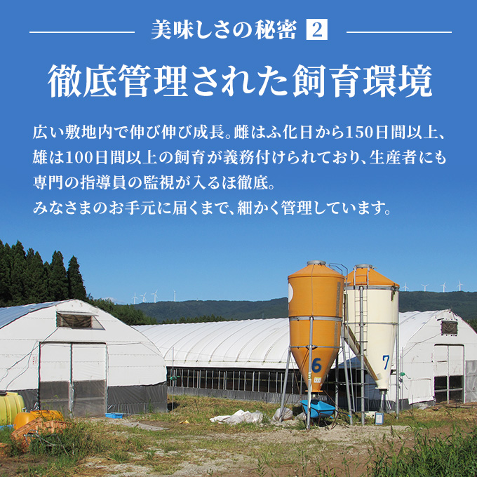 秋田県産 比内 地鶏 定期便 900g(150g×6袋×8ヶ月 計7.2kg 小分け もも