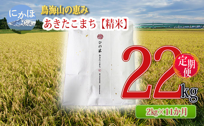 新米 米 お米 《定期便》2kg×11ヶ月 鳥海山の恵み！秋田県産 あきたこまち ひの米（精米）計22kg（2kg×11回連続）