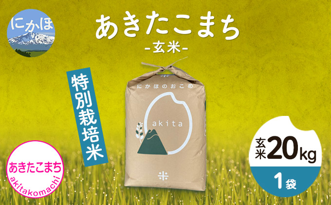 令和4年産 秋田県産 特別栽培米 あきたこまち20kg（20kg 1袋 玄米