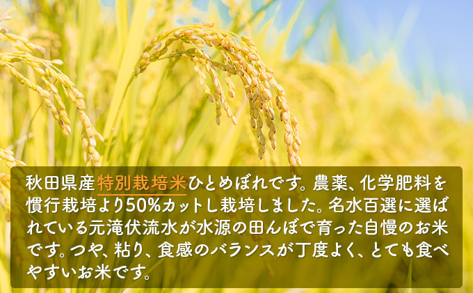 令和4年産 秋田県産 特別栽培米 ひとめぼれ20kg（20kg 1袋 玄米 ...