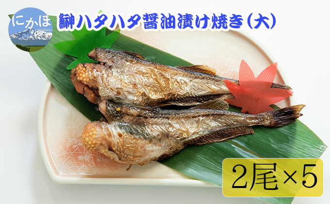 秋田の味覚！骨抜き子持ちハタハタ 醤油漬け焼き（大）（ブリコ入り 2