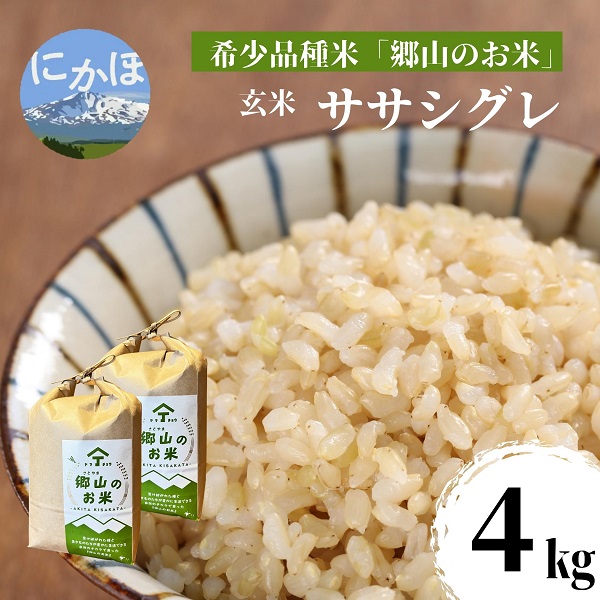 お得好評 農薬化学肥料不使用栽培米 玄米24kg送料無料 XQjUN