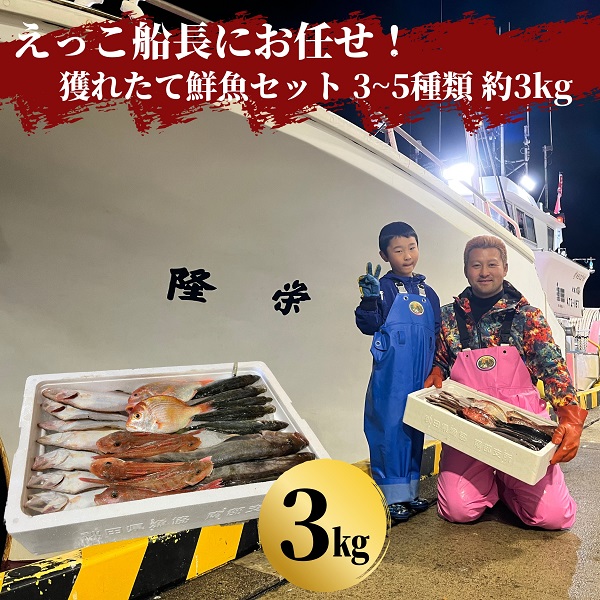 えっこ船長にお任せ！獲れたて鮮魚セット 3～5種類 約3kg（鮮魚 詰合せ