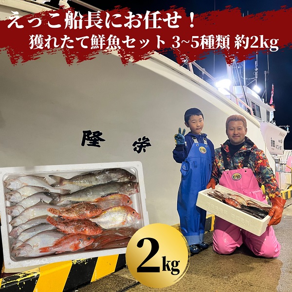 えっこ船長にお任せ！獲れたて鮮魚セット 3～5種類 約2kg（鮮魚 詰合せ