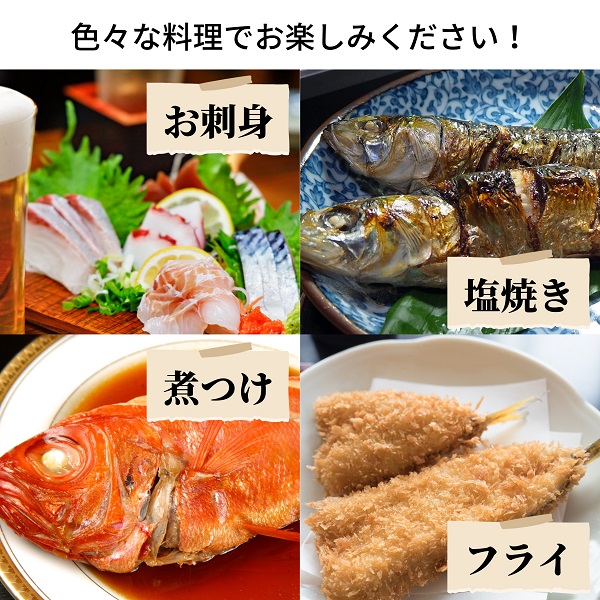 えっこ船長にお任せ！獲れたて鮮魚セット 3～5種類 約2kg（鮮魚 詰合せ