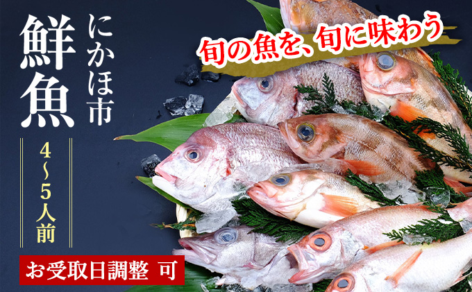 開けたらすぐ食べられる日本海の鮮魚詰合せ（4～5人前）(魚介 下処理済み 詰め合わせ セット)