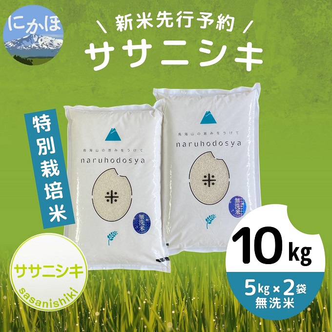 令和5年産新米予約】【無洗米】特別栽培米ササニシキ10kg（5kg×2）｜ふるラボ