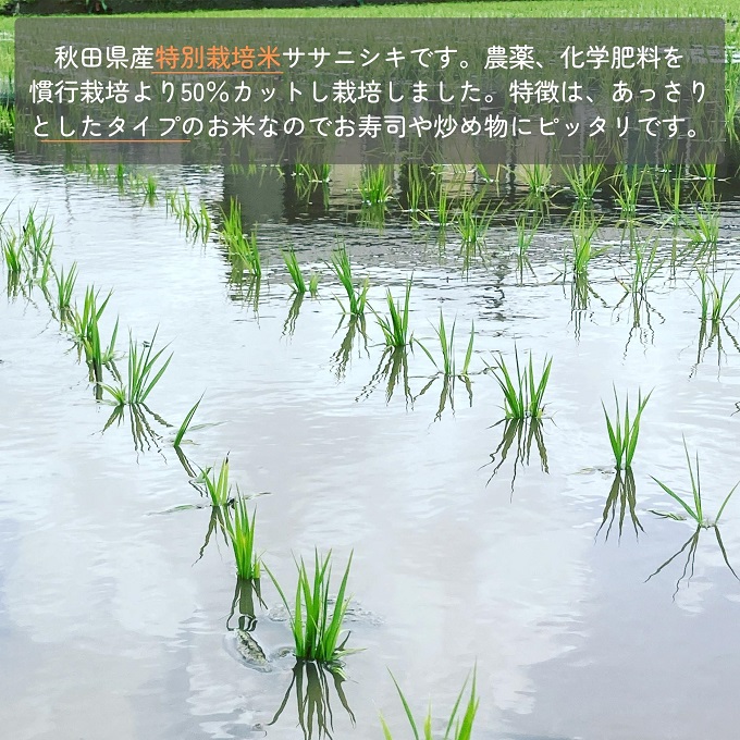 無農薬米令和5年新米 自然栽培米 ササニシキ精米20kg 農薬不使用・肥料不使用