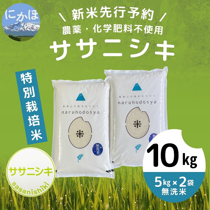 令和5年産新米予約】【無洗米】栽培期間中農薬・化学肥料不使用