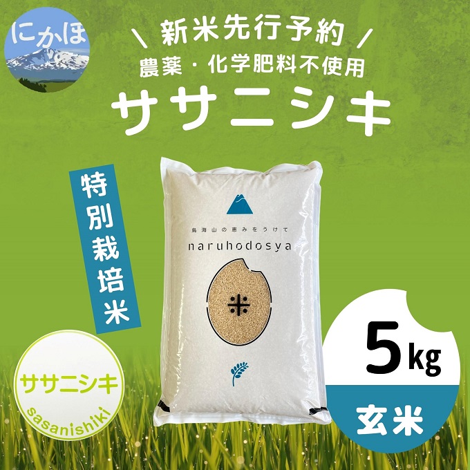 令和5年産新米予約】【玄米】栽培期間中農薬・化学肥料不使用 特別栽培