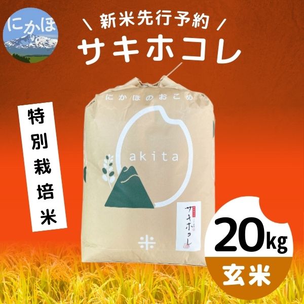 ふるさと納税 仙北市 玄米 《定期便3ヶ月》サキホコレ 特別栽培米 9kg