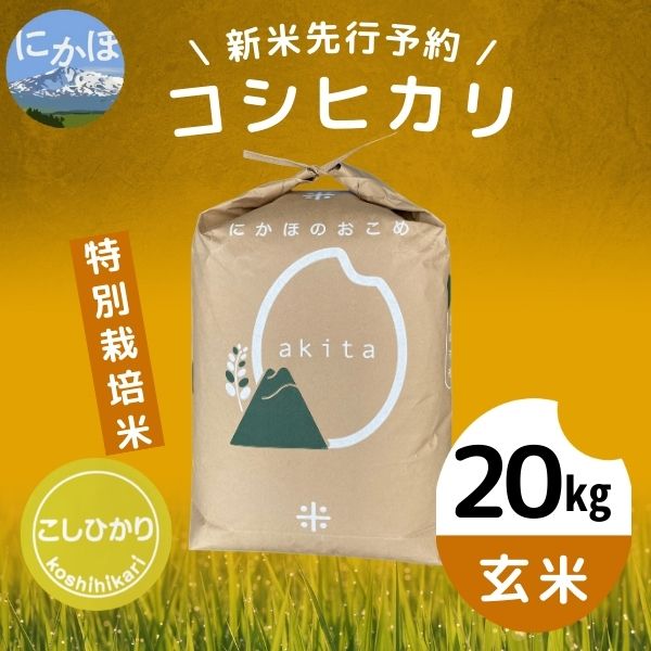 令和5年産新米予約】【玄米】特別栽培米コシヒカリ20kg｜ふるラボ