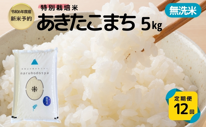 【令和6年産新米予約】<12ヵ月定期便>【無洗米】特別栽培米あきたこまち5kg×12回 合計60kg