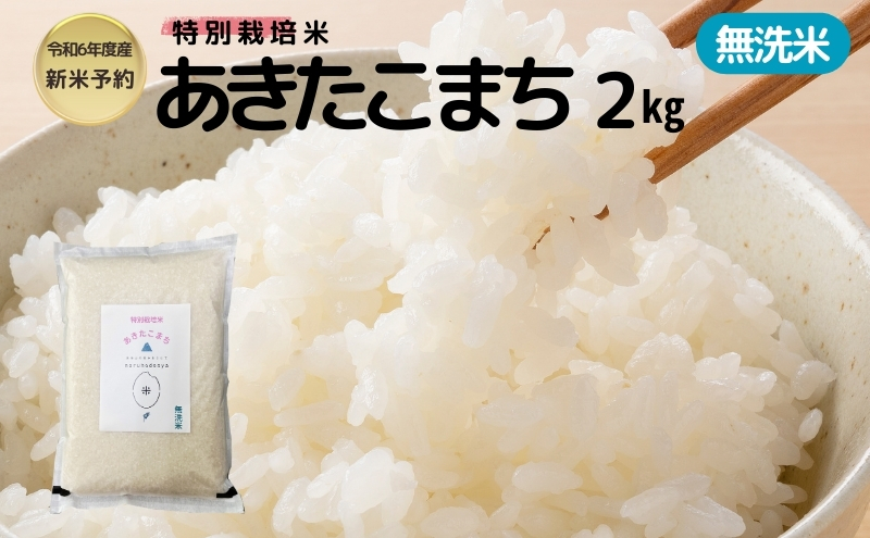 【令和6年産新米予約】【無洗米】特別栽培米あきたこまち2kg×1