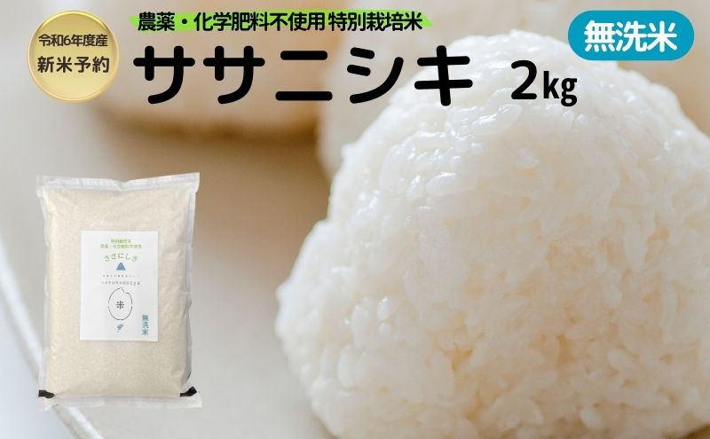 【令和6年産新米予約】栽培期間中 農薬・化学肥料不使用【無洗米】特別栽培米ササニシキ2kg×1