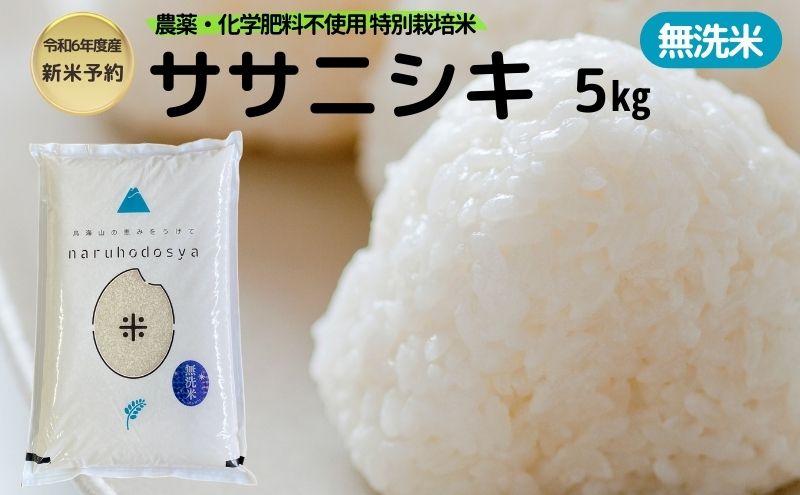 【令和6年産新米予約】栽培期間中 農薬・化学肥料不使用 【無洗米】特別栽培米ササニシキ5kg×1