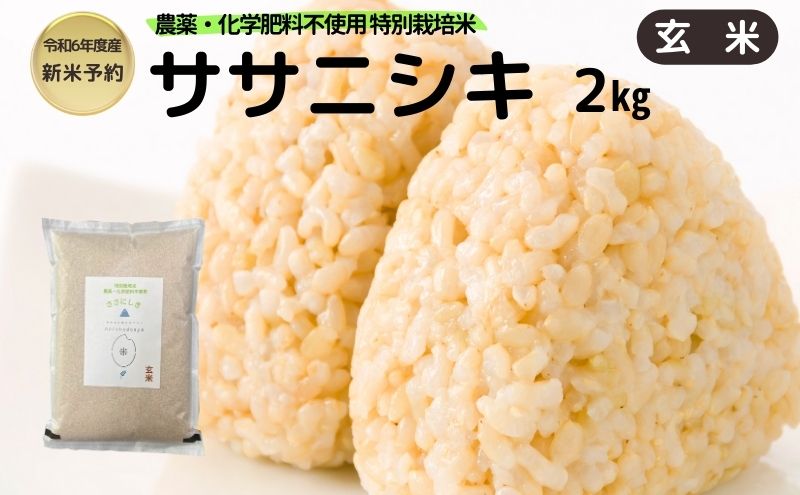 【令和6年産新米予約】栽培期間中 農薬・化学肥料不使用【玄米】特別栽培米ササニシキ2kg×1