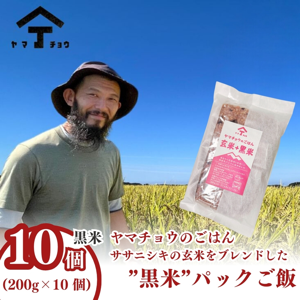 ヤマチョウのごはん パックご飯 玄米 黒米ブレンドごはん 200g×10個セット 秋田県産