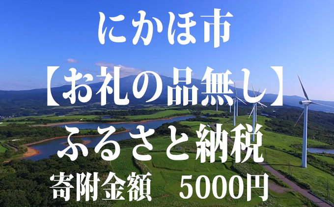 寄附のみの応援受付 5,000円コース(返礼品なし 寄附のみ 5000円)