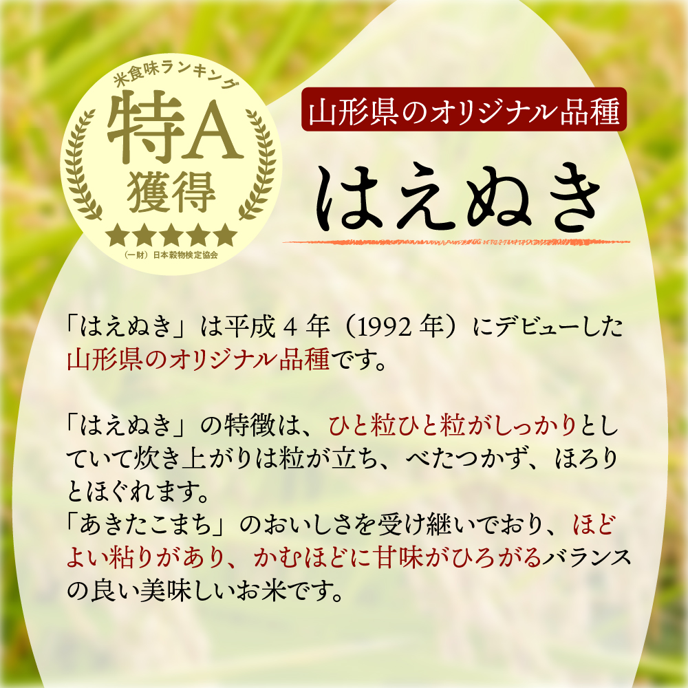 16000円 素敵な KISAKU スモークサーモン スライス ８００ｇ×１０ 那須産 工房直売 無