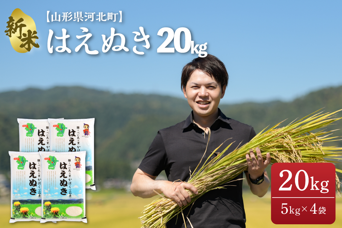 2023年2月上旬発送※はえぬき 20kg（5kg×4袋）【令和4年産】一等米 山形県河北町産 【JAさがえ西村山】｜ふるラボ