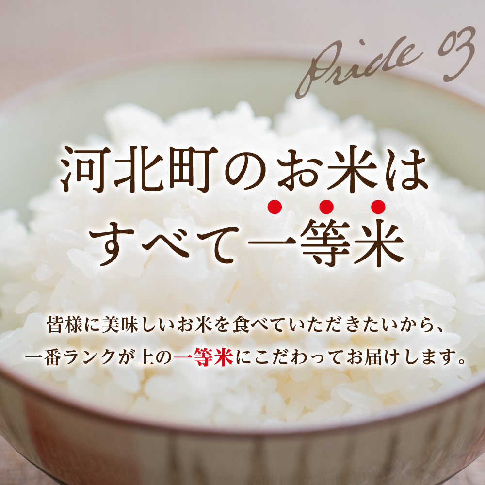 令和4年産米】2023年1月前半発送 はえぬき10kg（5kg×2袋）一等米 山形県河北町産【丹野商店】｜ふるラボ