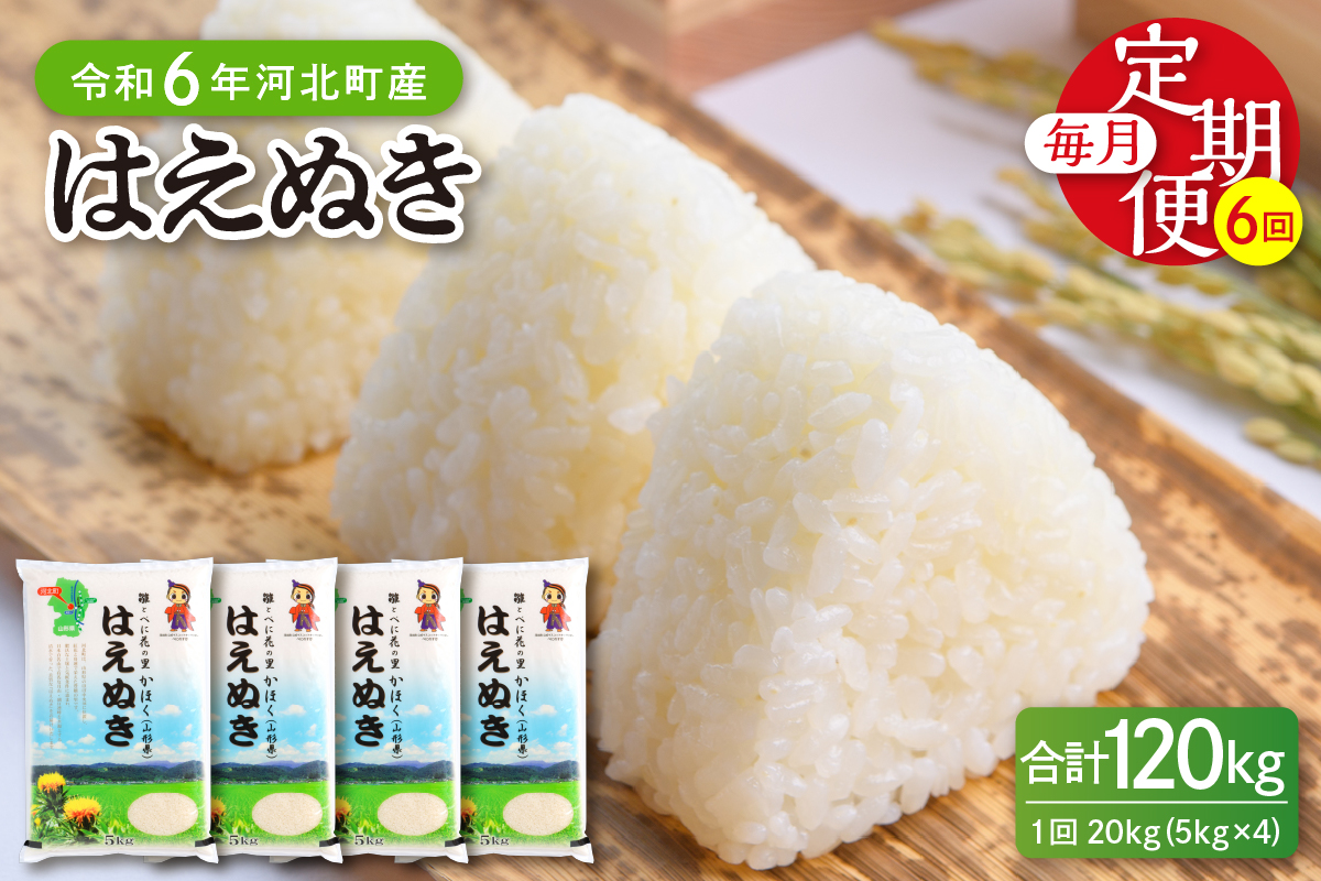 【令和6年産米】※2025年2月下旬スタート※ はえぬき120kg（20kg×6ヶ月）定期便 山形県産 【JAさがえ西村山】