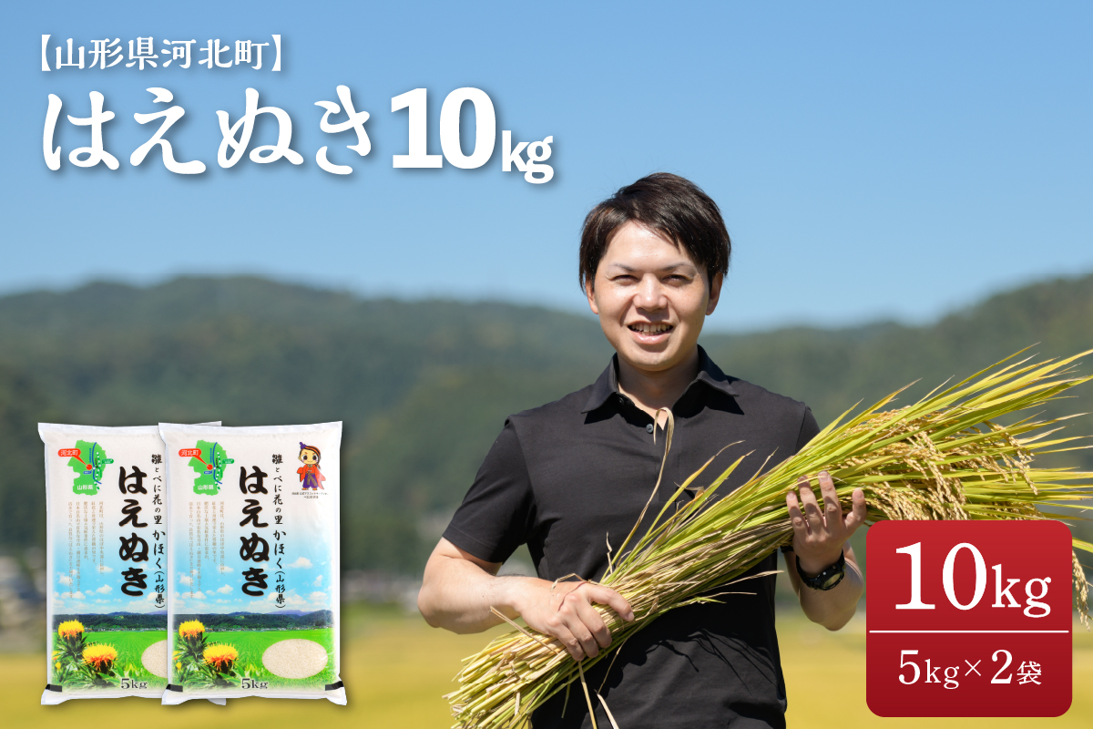 2023年7月中旬発送※はえぬき 10kg（5kg×2袋）【令和4年産】一等米 山形県河北町産 【JAさがえ西村山】｜ふるラボ