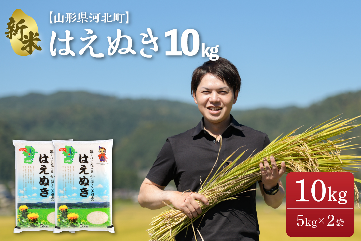 2022年12月中旬発送※はえぬき 10kg（5kg×2袋）【令和4年産】一等米 山形県河北町産 【JAさがえ西村山】｜ふるラボ