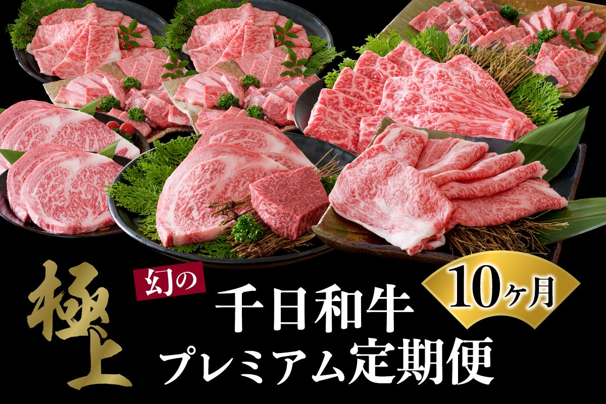 【数量限定】★肉の至宝★ 幻の山形牛【千日和牛】旨味とろける極上和牛10ヶ月定期便