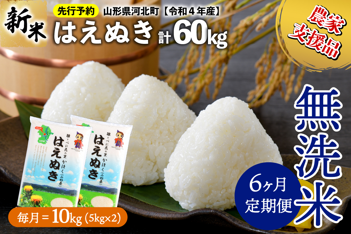 令和４年産 新米 山形県産 10kg 精米 はえぬき 5kg×2