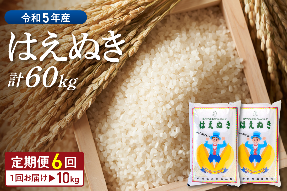 2024年3月前半スタート※【令和5年産米】はえぬき 60kg定期便（10kg×6回