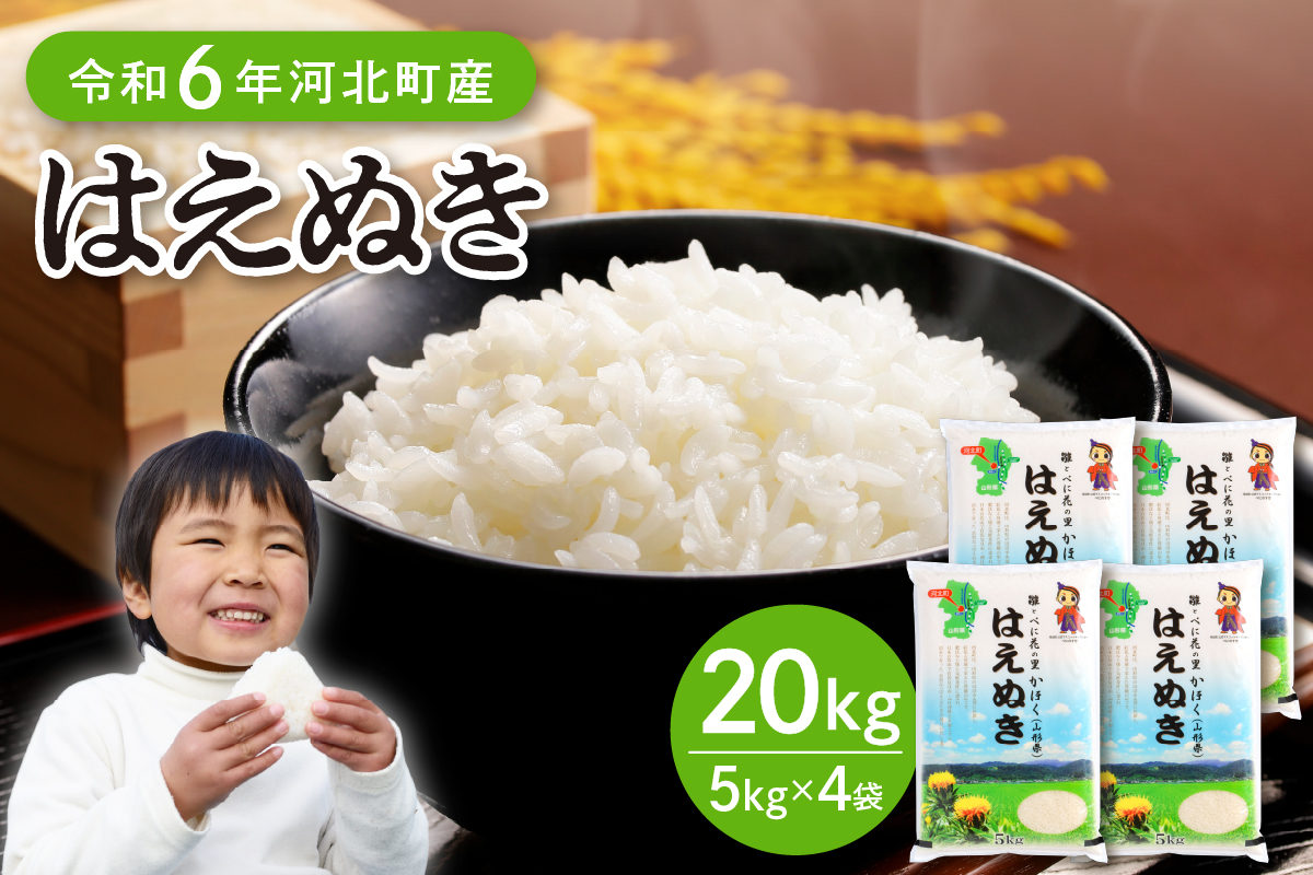 【令和6年産米】2025年1月上旬発送 はえぬき20kg（5kg×4袋）山形県産 【JAさがえ西村山】