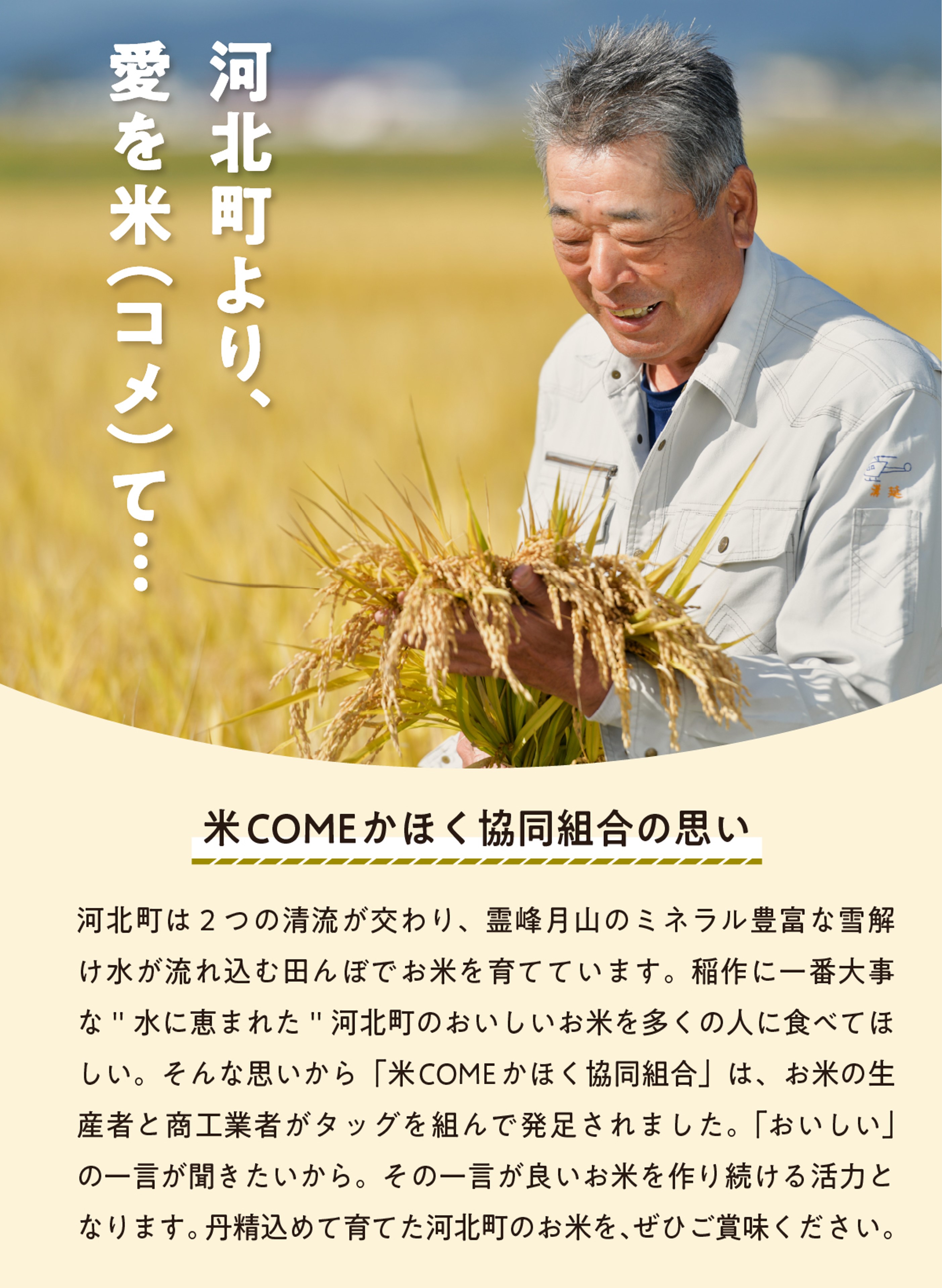 令和6年産米】2024年11月中旬発送 はえぬき20kg（5kg×4袋） 山形県産