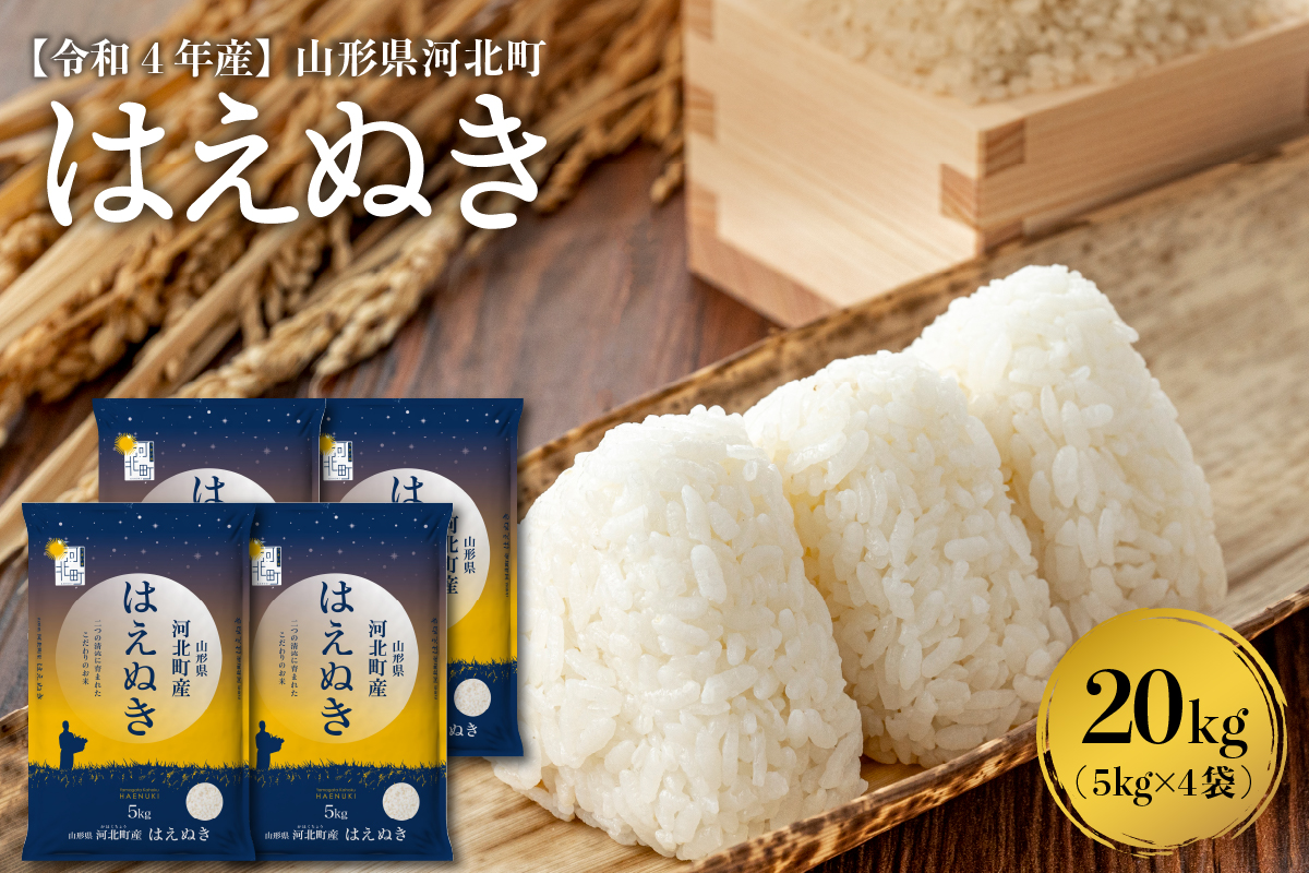 宮城県登米市産ササニシキ(玄米)30kg　登米市　55％以上節約　ふるさと納税　令和4年産
