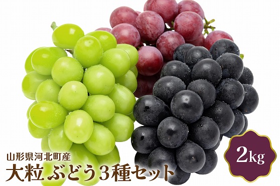 令和6年産】大粒ぶどう3種セット 2kg 山形県河北町産【JAさがえ西村山】｜ふるラボ