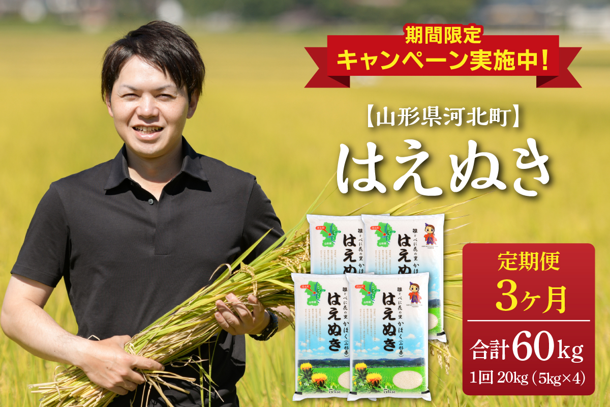 緊急支援】※2023年5月下旬スタート※はえぬき 60kg（20kg×3ヶ月）定期便