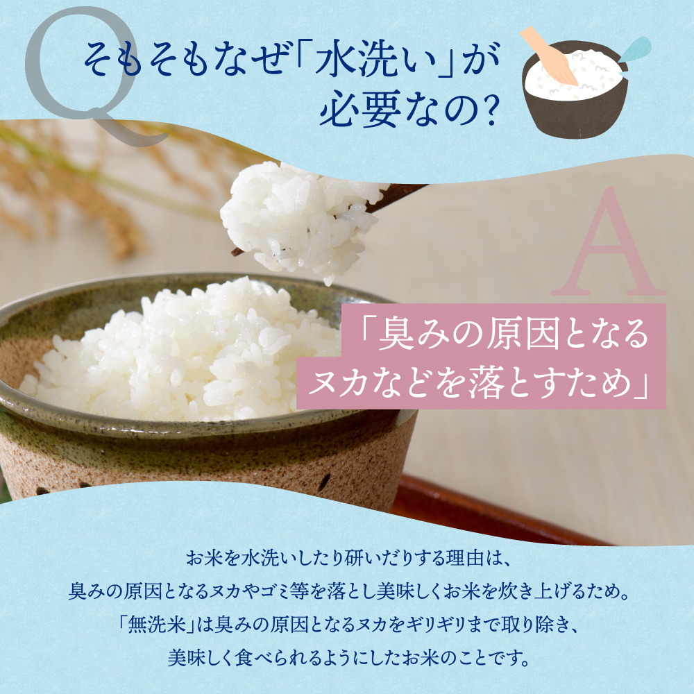 令和4年10月下旬開始コース☆先行予約☆令和4年産 無洗米 はえぬき 計60kg定期便 一等米 山形県産【 JAさがえ西村山】｜ふるラボ