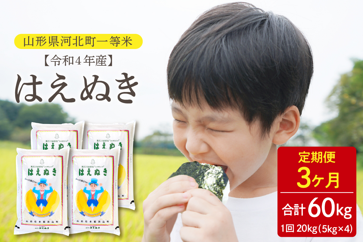 2023年4月後半スタート※【令和4年産】はえぬき60kg（20kg×3回）定期便