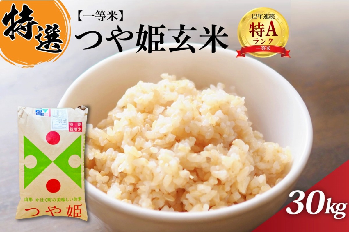 【玄米5kg】農家直送！美味しいお米！埼玉県産コシヒカリ！
