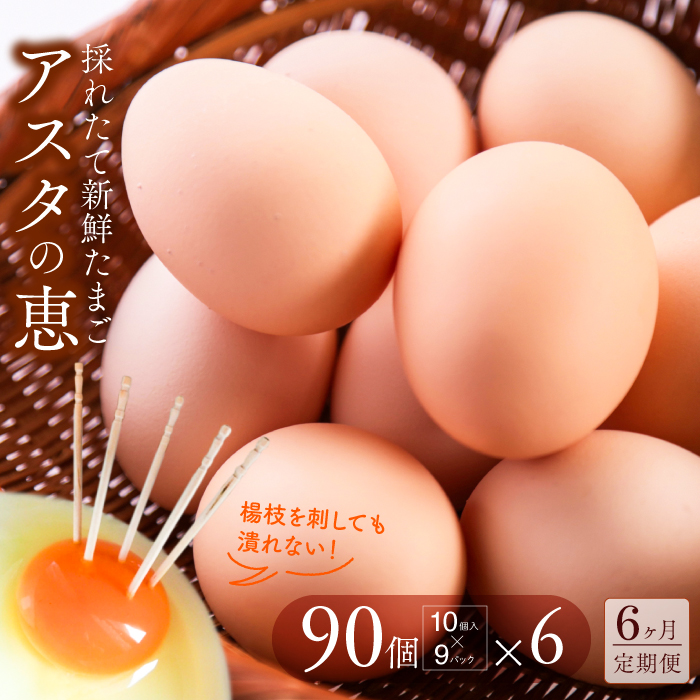 U-8 ◆6ヵ月定期便◆ 黄身がしっかり濃厚な卵【アスタの恵み】90個×6