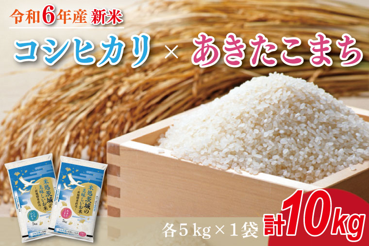 HA-1-1　★新米★R6年産 コシヒカリ 5kg＋あきたこまち 5kg　茨城県産米　おいしさ食べ比べセット