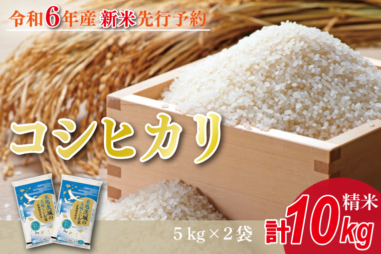 HA-2　★新米★【数量限定】R6年産 コシヒカリ 10kg(5kg×2袋)　茨城県産米