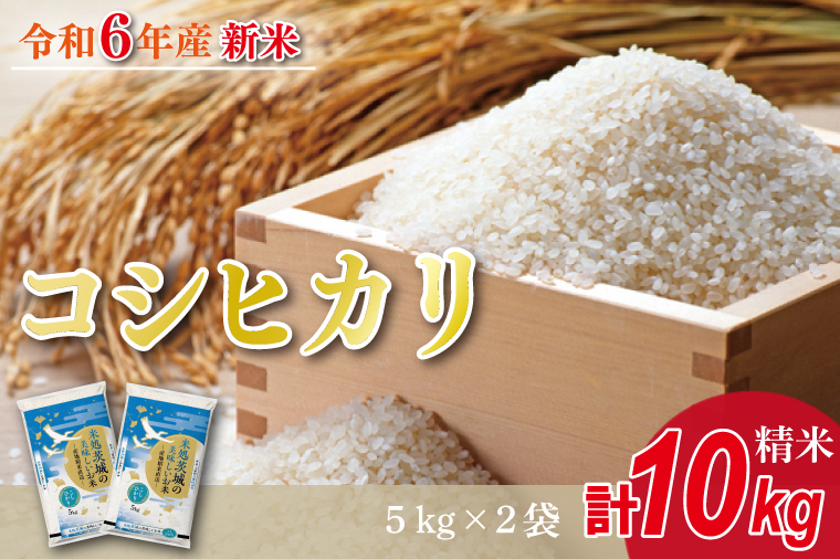 HA-2-1　★新米★R6年産 コシヒカリ 10kg(5kg×2袋)　茨城県産米