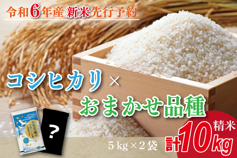 HA-3　★新米★【数量限定】R6年産 コシヒカリ 5kg＋おまかせ 5kg　茨城県産米　おいしさ食べ比べセット