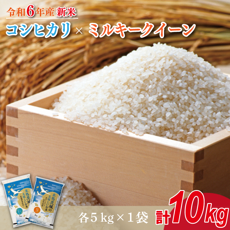 ★新米★R6年産 コシヒカリ 5kg＋ミルキークイーン 5kg　茨城県産米　おいしさ食べ比べセット(HA-10-1)