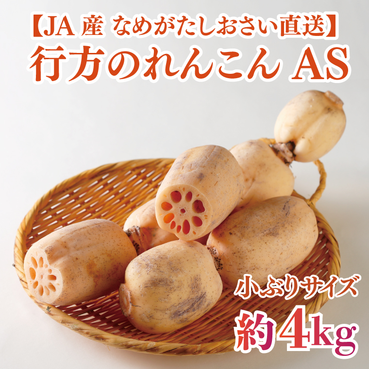 JAなめがたしおさい直送　行方のれんこんAS・約4kg（小ぶりサイズ）(AE-114)