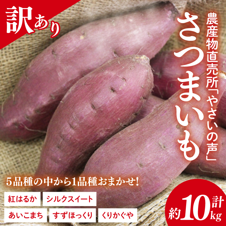 農産物直売所「やさいの声」★訳あり★さつまいも(品種おまかせ) 約10kg｜さつまいも 芋 サツマイモ 訳あり わけあり ワケアリ おまかせ 10kg 紅はるか シルクスイート すずほっくり くりかぐや あいこまち(EK-15)